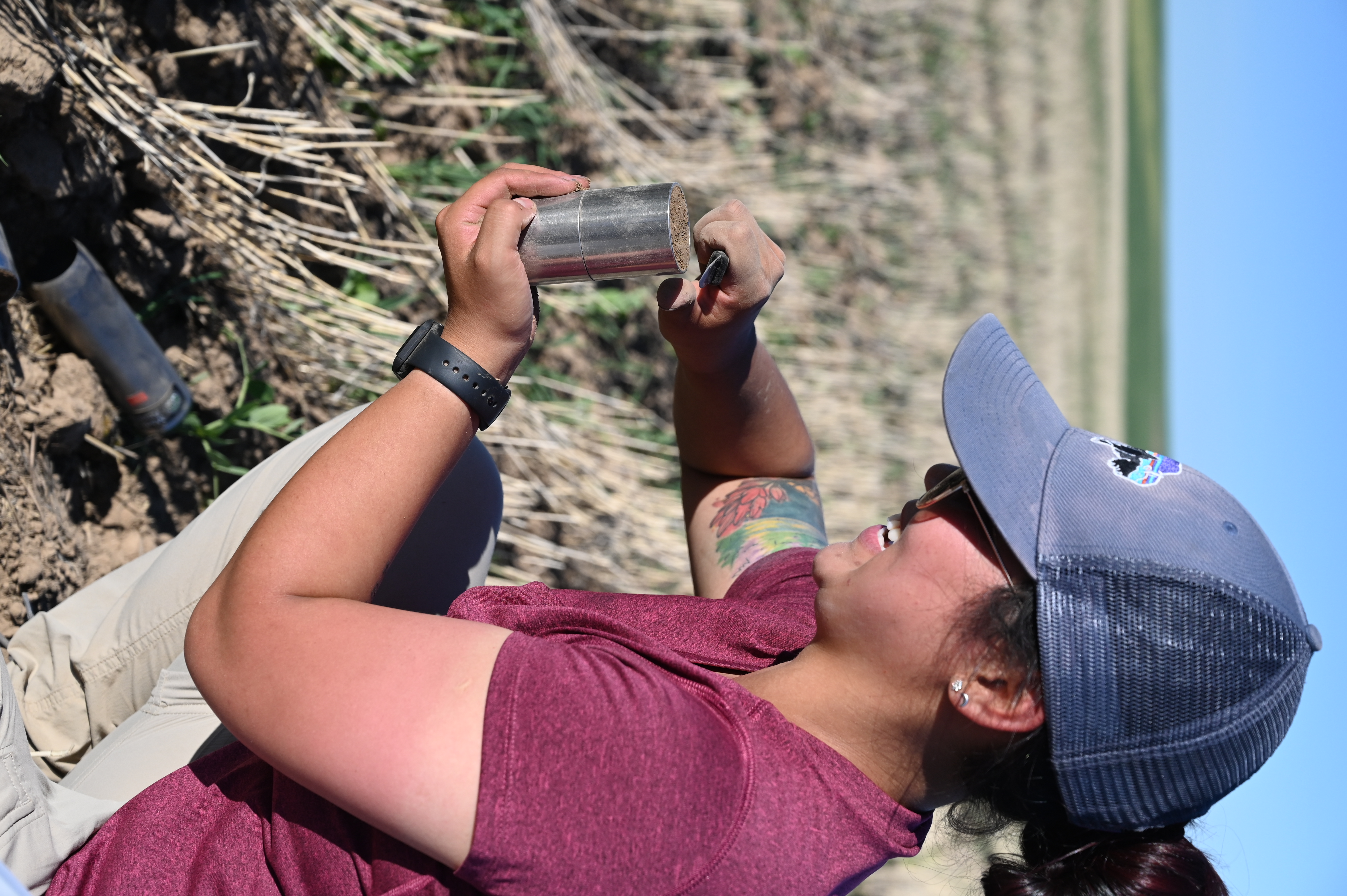 Jadey collecting a bulk density soil sample in a field of wheat stubble.