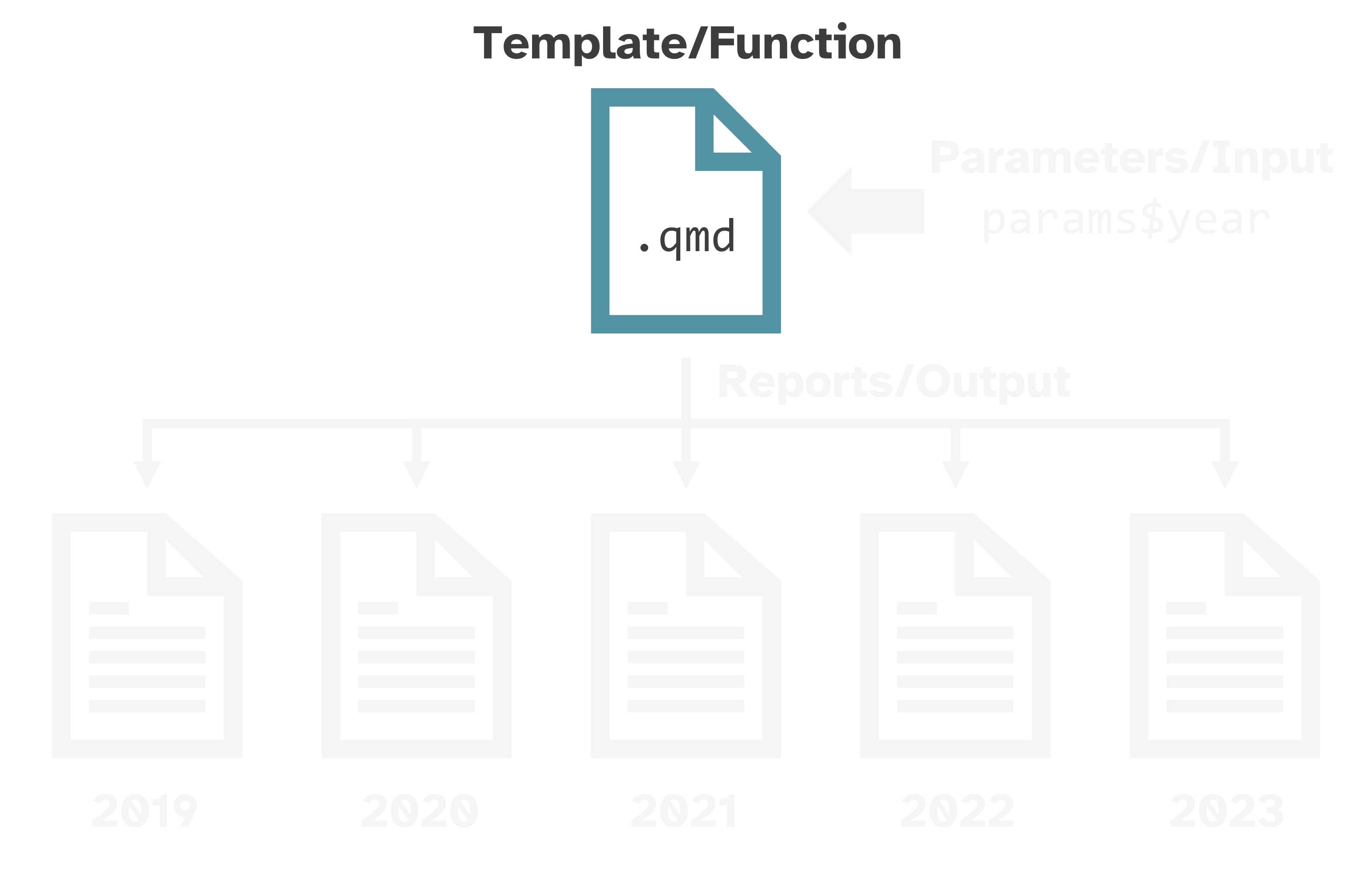 File with the word '.qmd' inside and the word 'Function' above.