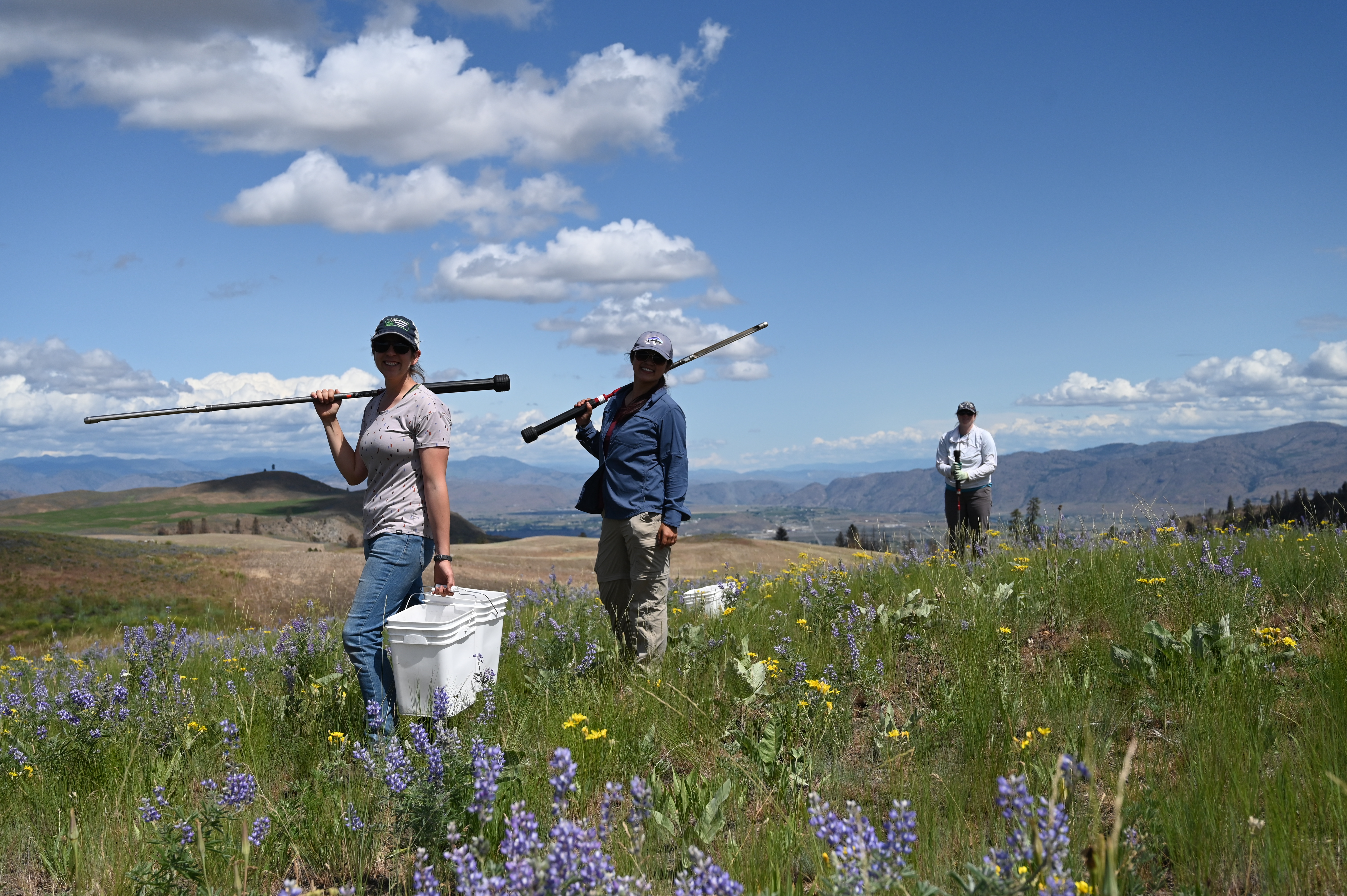 Jadey standing in a grazed wildflower meadow with two colleagues collecting soil samples.